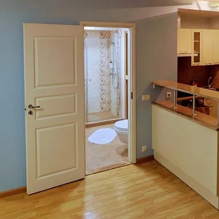 Joe - With Sauna In The Center Апартаменты