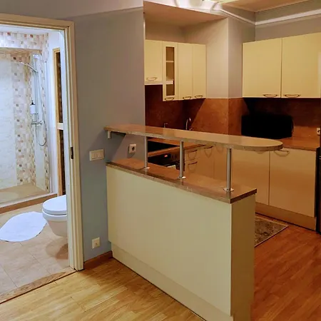 Joe - With Sauna In The Center Апартаменты *