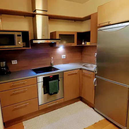 Joe - With Sauna In The Center Apartment Tallinn