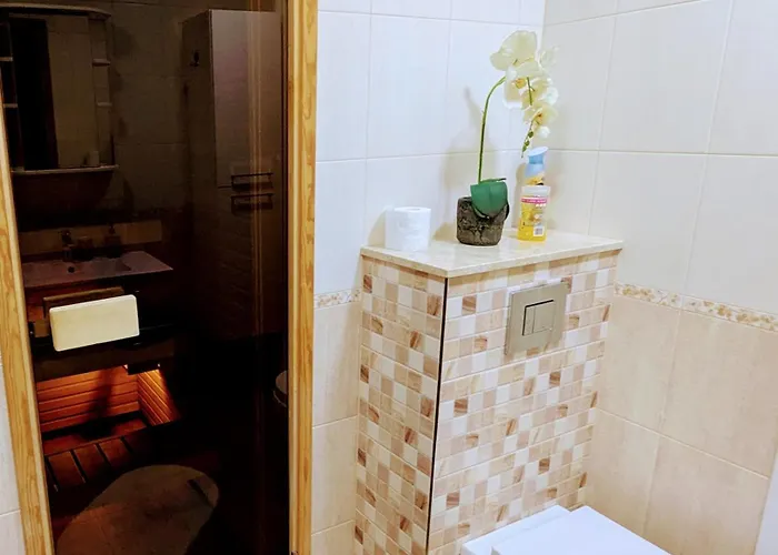 Joe - With Sauna In The Center Апартаменты