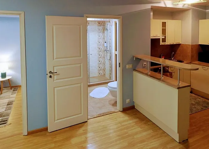 Joe - With Sauna In The Center Апартаменты