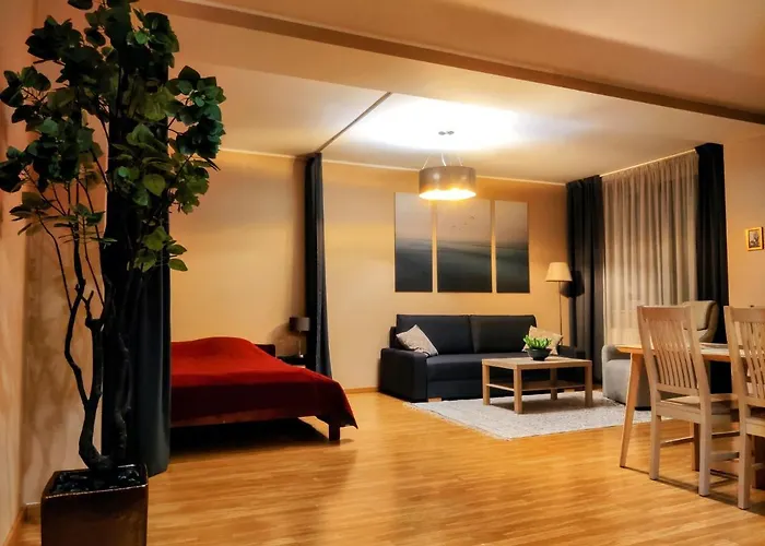 Joe - With Sauna In The Center アパート